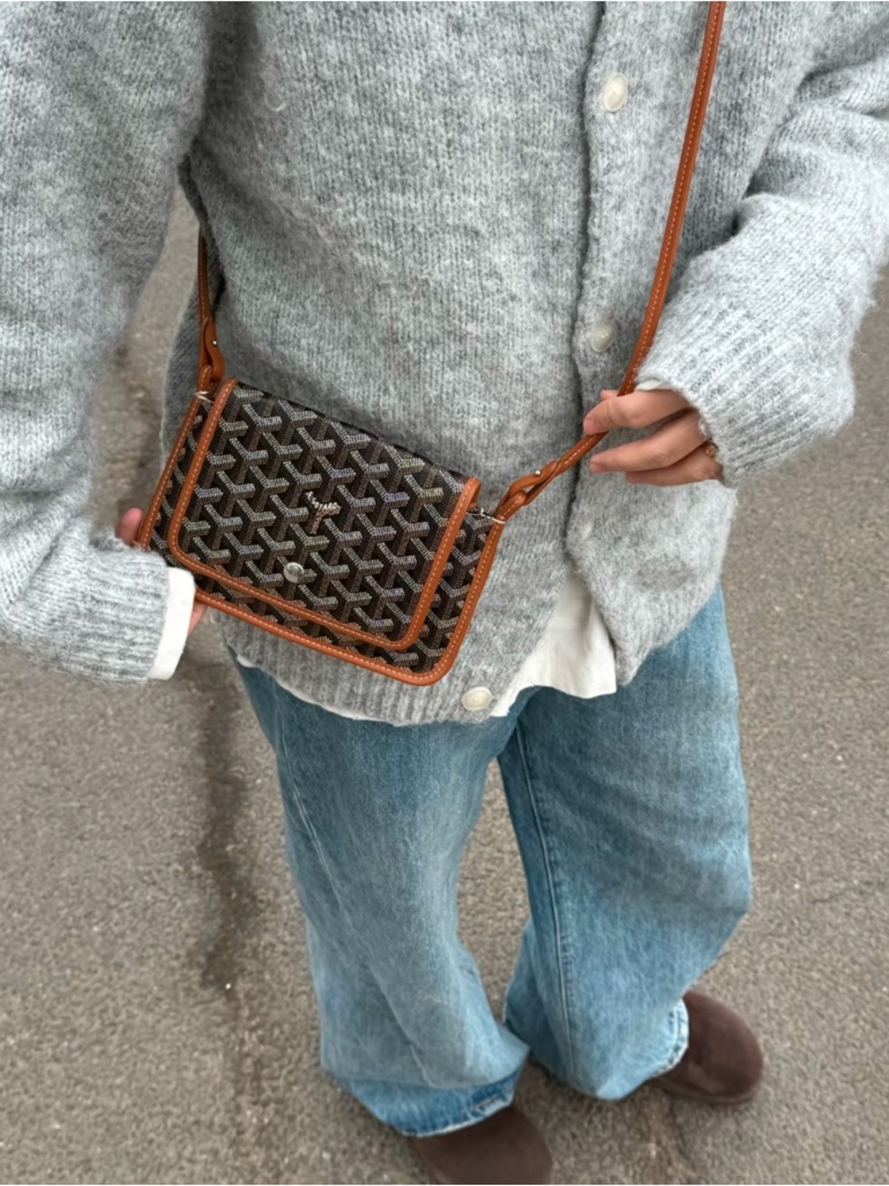Goyard plumet Crossbody bag Brand new w tag/dust bag/authentic card/receipt! GWP